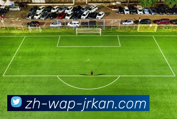 数据防护可视化